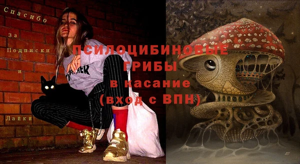 МДМА Гусев