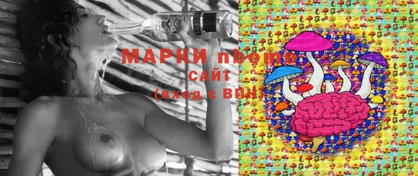 стаф Усмань