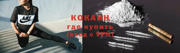 трава Гусиноозёрск