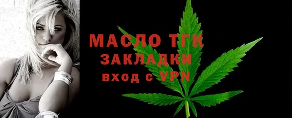 трава Гусиноозёрск