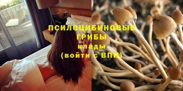 прущий лед Гусь-Хрустальный