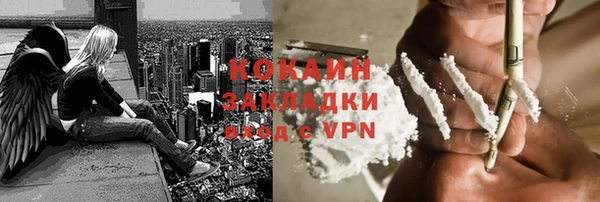 трава Гусиноозёрск