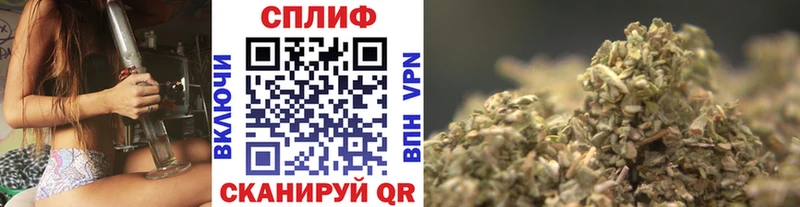МЕГА как зайти  Жуковка  Бошки Шишки ГИДРОПОН 